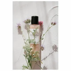 Lotion Essentielle - 100ml