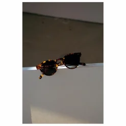Lunettes de Soleil Forest | Marron