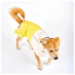 Manteau de pluie Venture | Jaune