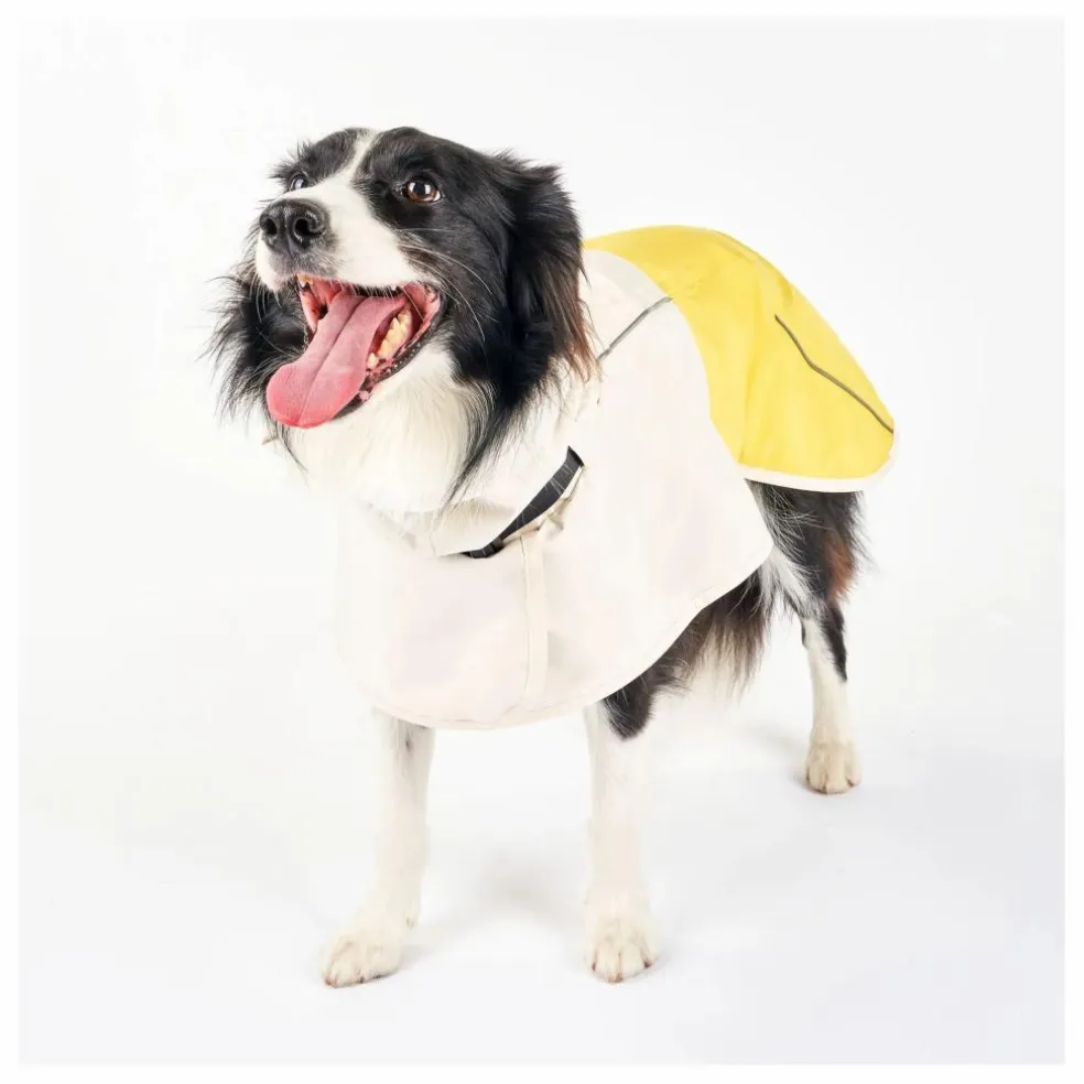Manteau de pluie Venture | Jaune