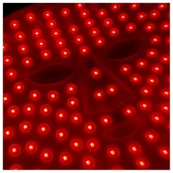Masque LED anti-âge Le Professionnel