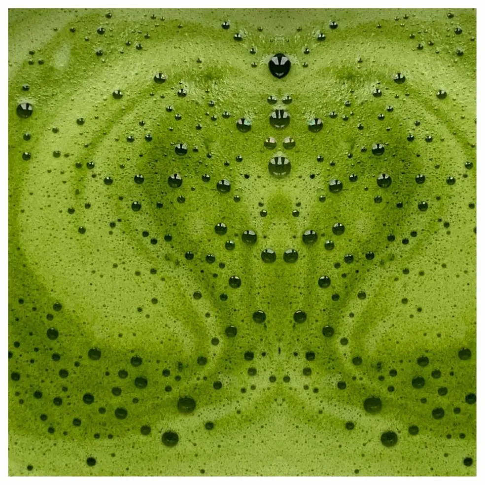 Matcha latte essentiel activateur de métabolisme - 146g