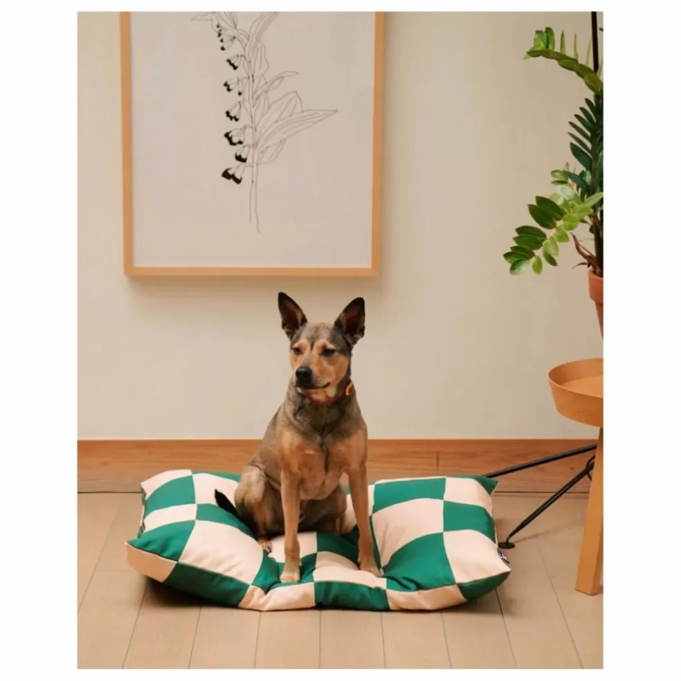 Matelas pour chien Checkered | Vert