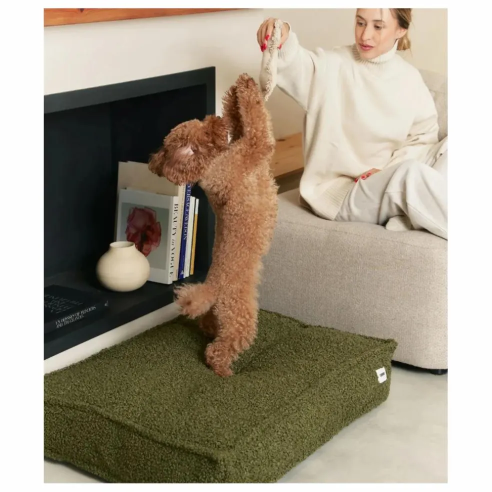 Matelas pour Chien en bouclette Cuadra | Vert