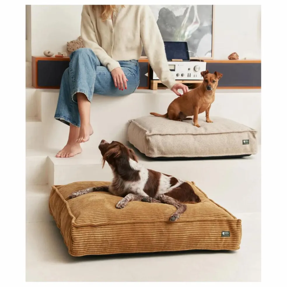 Matelas pour Chien en velours côtelé Cuadra | 70