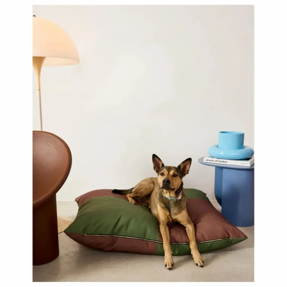 Matelas pour chien Quartier | Marron