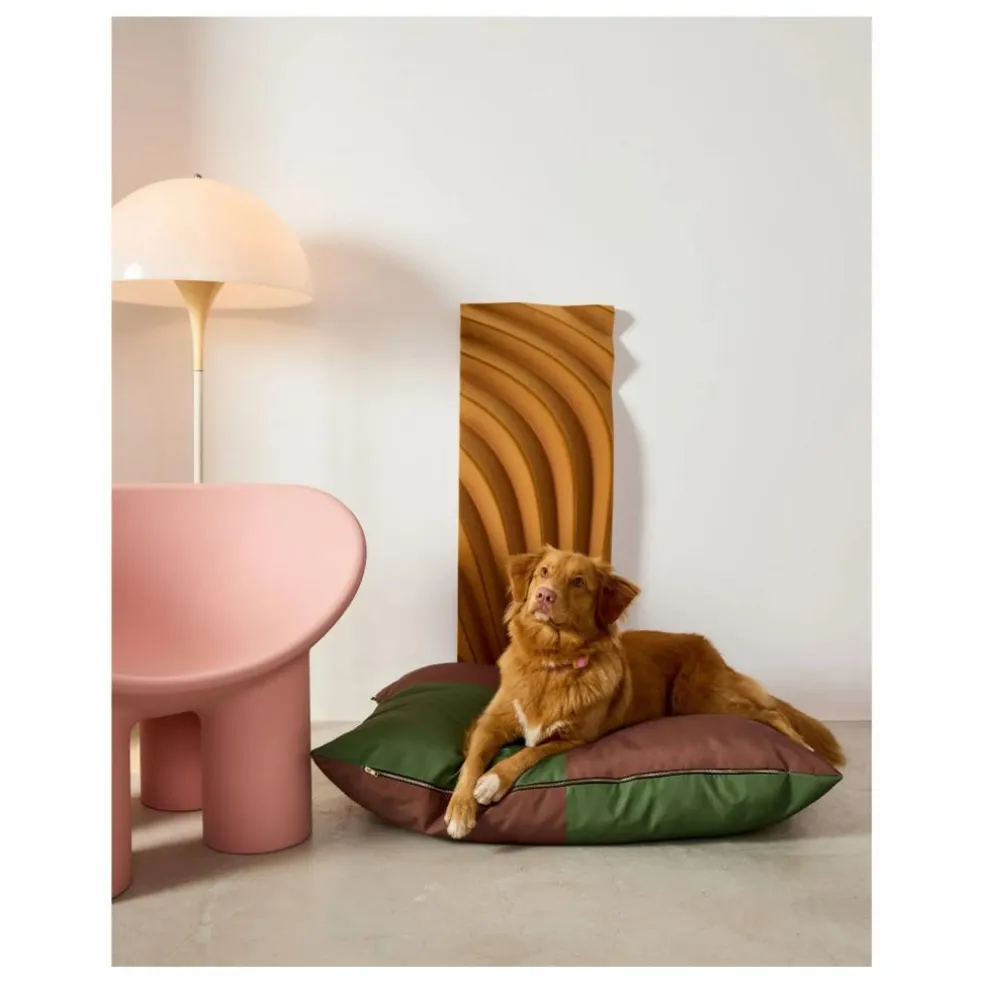 Matelas pour chien Quartier | Marron