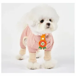 Médaille World's Okayest Dog | Rouge