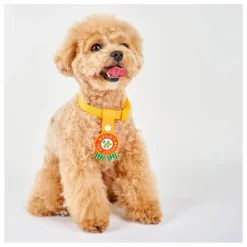 Médaille World's Okayest Dog | Rouge