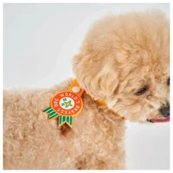 Médaille World's Okayest Dog | Rouge
