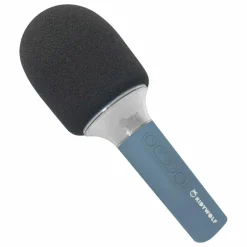 Micro Karaoké Bluetooth | Bleu