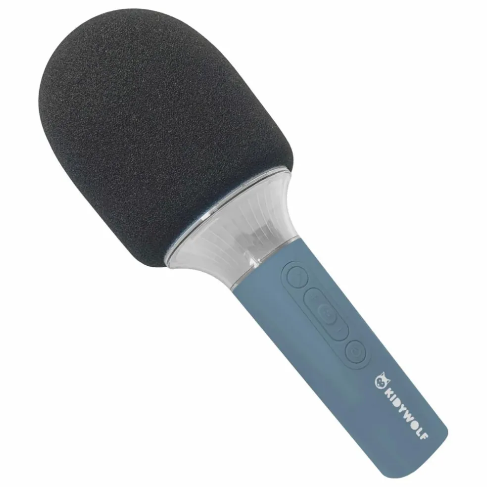 Micro Karaoké Bluetooth | Bleu