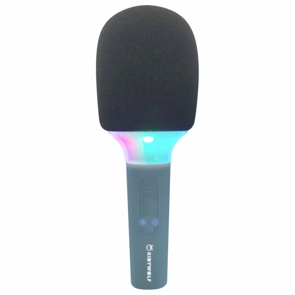 Micro Karaoké Bluetooth | Bleu