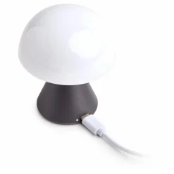 Mini lampe à poser led Mina | Gris métal