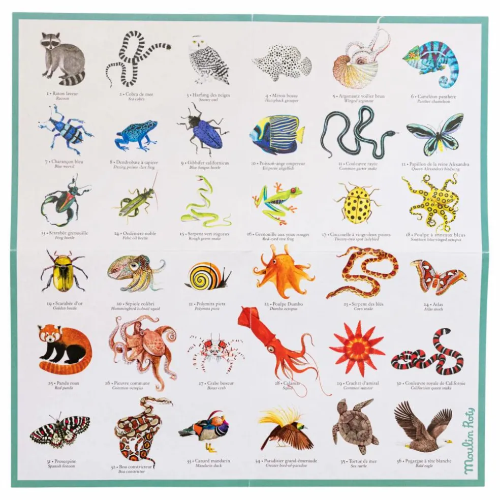 Mémory des animaux Tout autour du monde