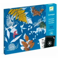 Mon premier kit Cyanotype