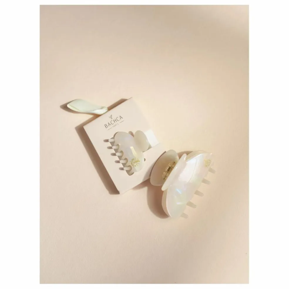 Moyenne pince | Nacre