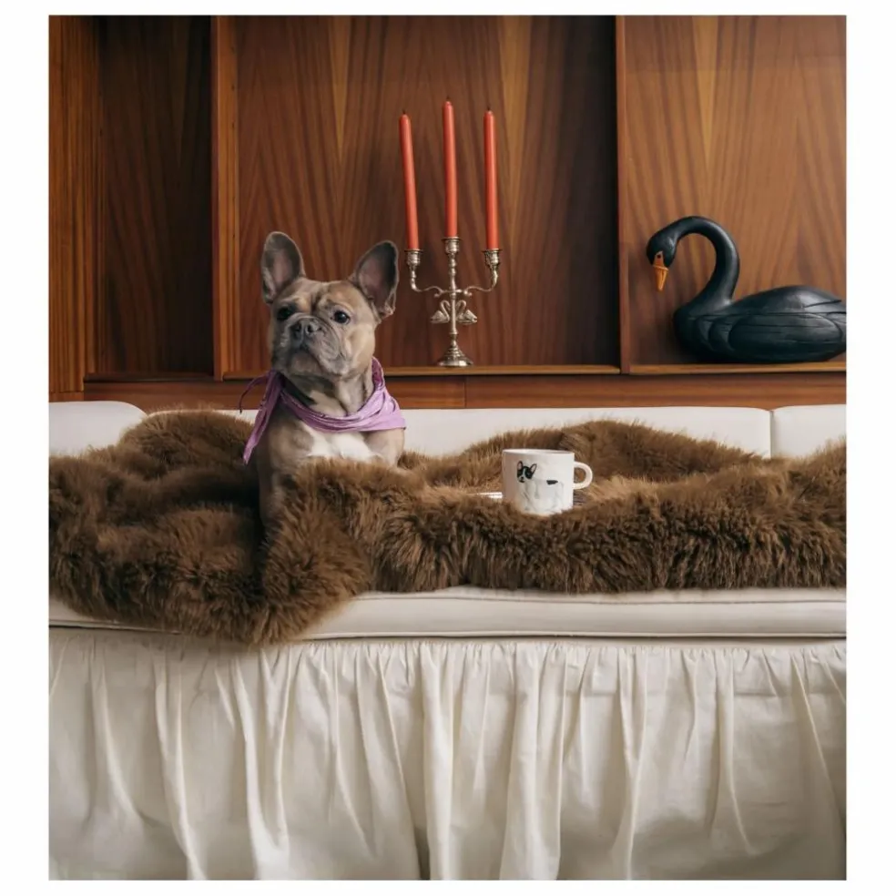 Mug Bouledogue