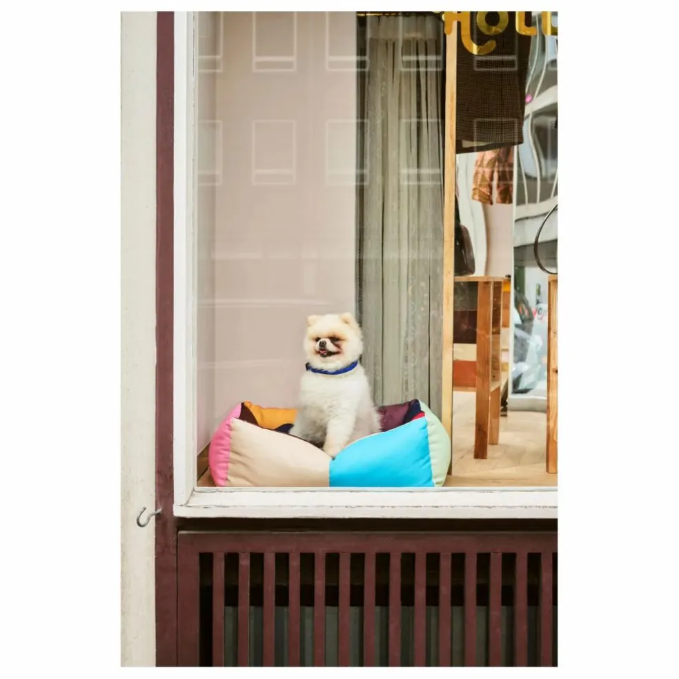 Panier pour chien