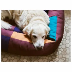 Panier pour chien | Bordeaux