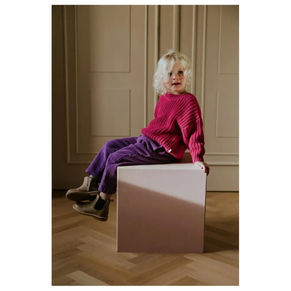 Pantalon Beau Velours Côtelé Bio | Violet