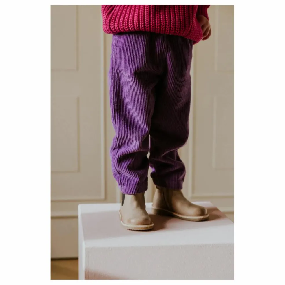 Pantalon Beau Velours Côtelé Bio | Violet