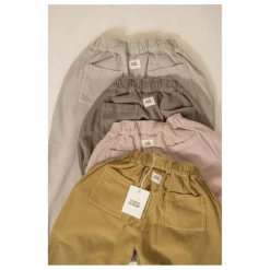 Pantalon Carrot Velours Côtelé Coton Bio | Gris