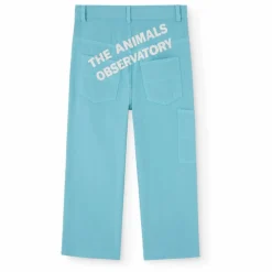 Pantalon Condor | Bleu ciel