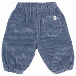 Pantalon Cordon Velours Côtelé | Bleu gris