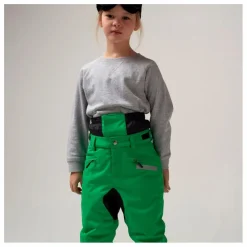 Pantalon de Ski Imperméable Big Bad Wolf | Vert
