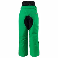 Pantalon de Ski Imperméable Big Bad Wolf | Vert