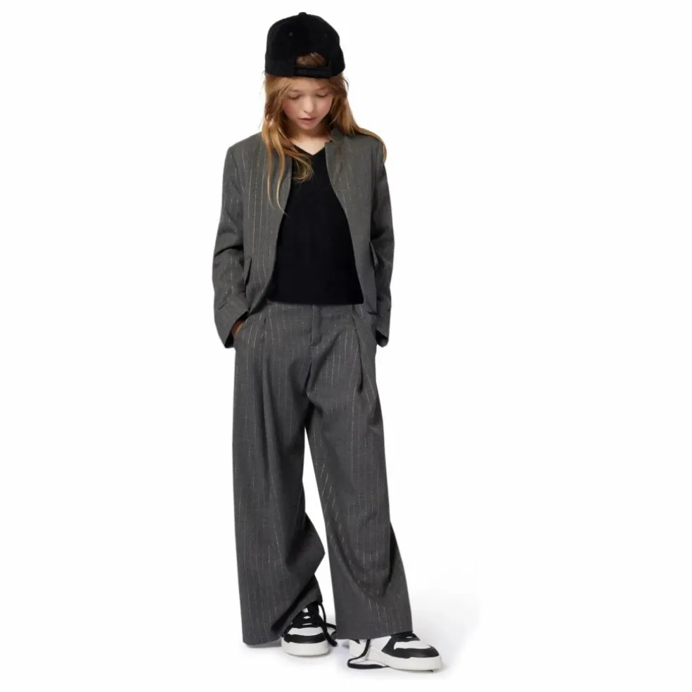 Pantalon Rayé | Gris chiné
