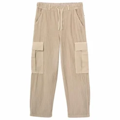 Pantalon Salem Velours Côtelé | Beige chiné