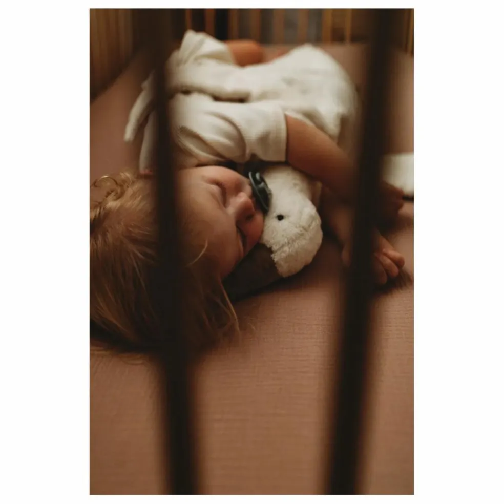 Peluche bouillotte Oie | Blanc