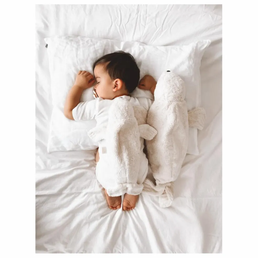 Peluche bouillotte Phoque | Blanc