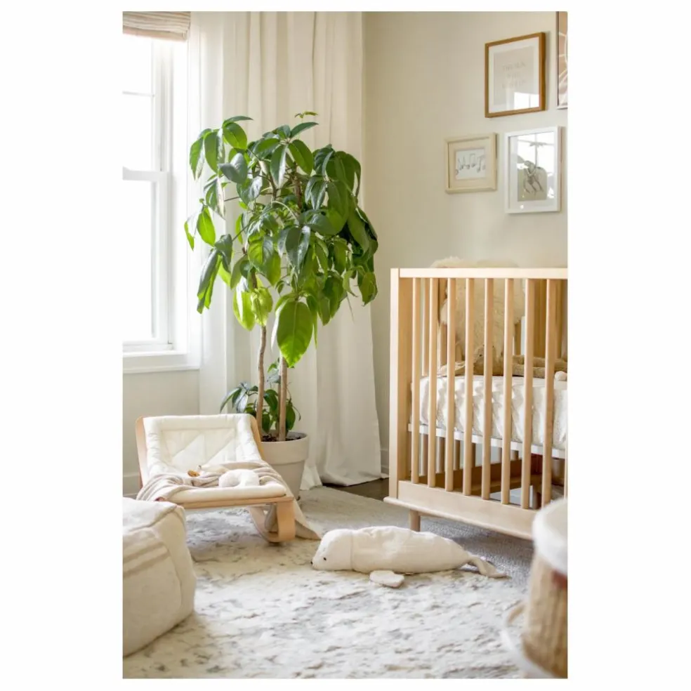 Peluche bouillotte Phoque | Blanc