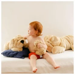 Peluche Chien Hector 20 cm | Miel