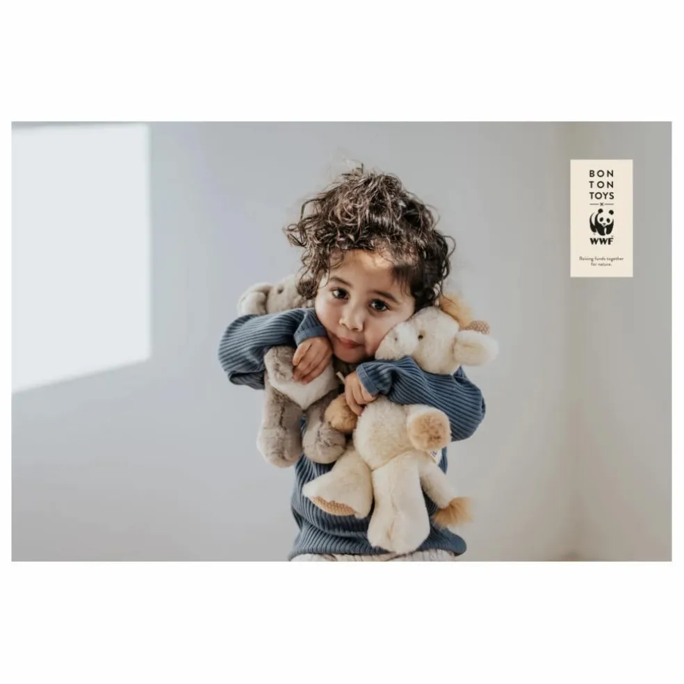 Peluche Coco le Koala | Gris