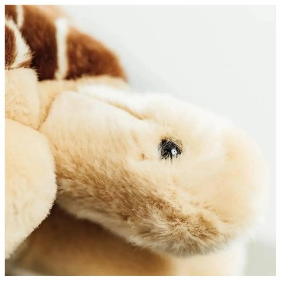 Peluche Ma Tortue Rosalie | Marron
