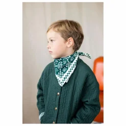 Petit Foulard Manika | Vert
