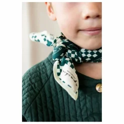 Petit Foulard Manika | Vert
