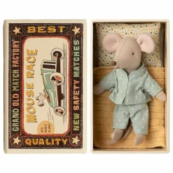 Petit frère souris dans sa boîte d'allumettes