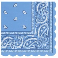 Petites serviettes en papier Western - Set de 16