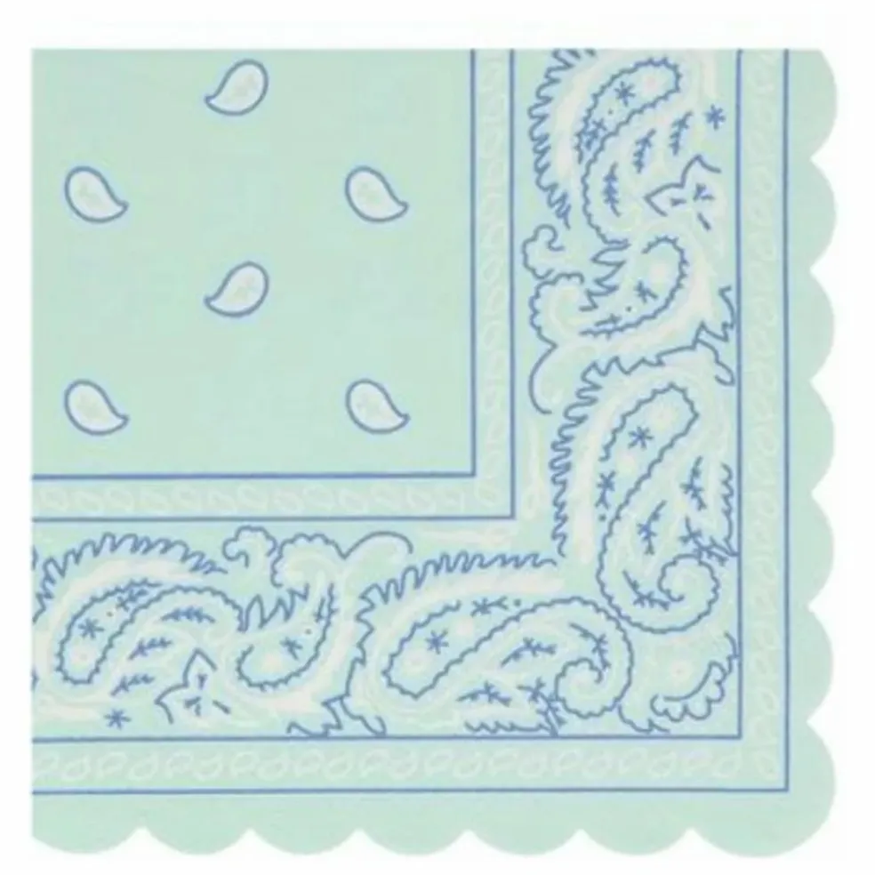 Petites serviettes en papier Western - Set de 16