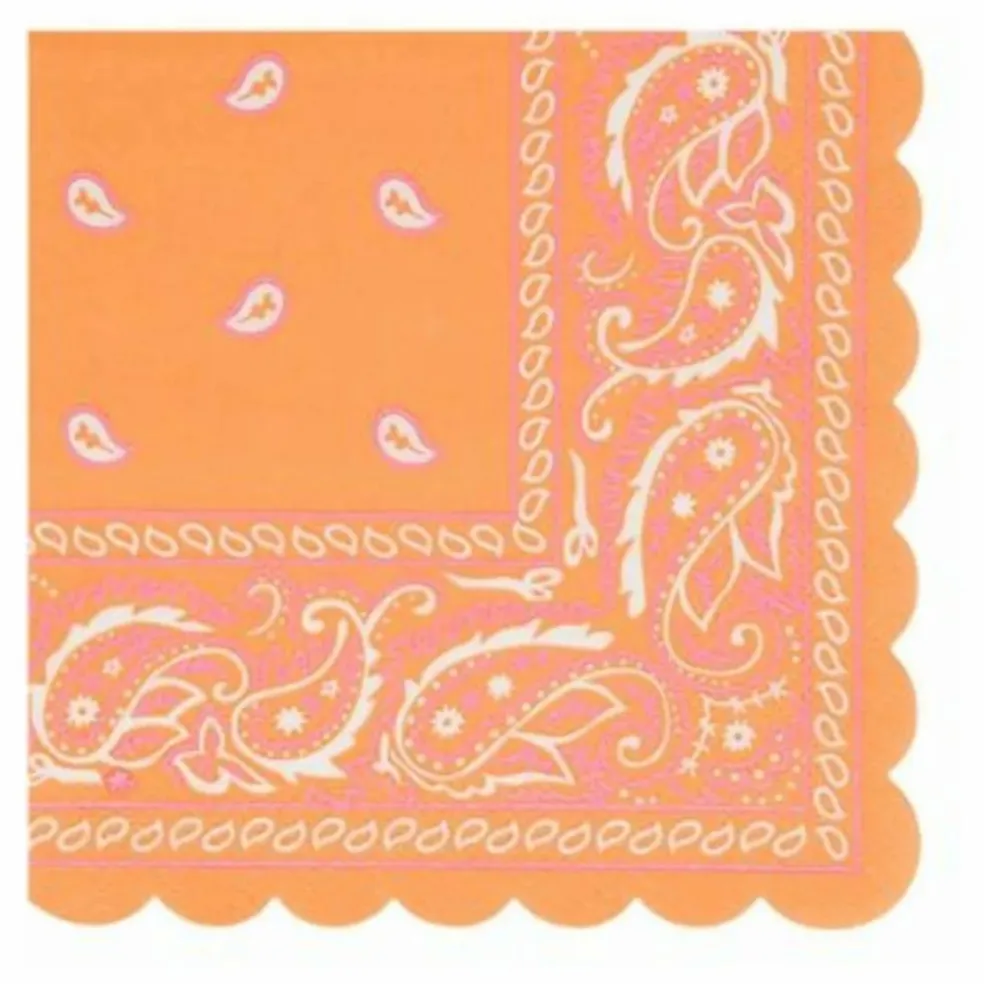 Petites serviettes en papier Western - Set de 16