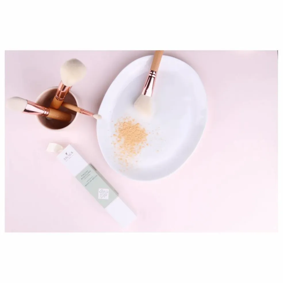 Pinceau blush