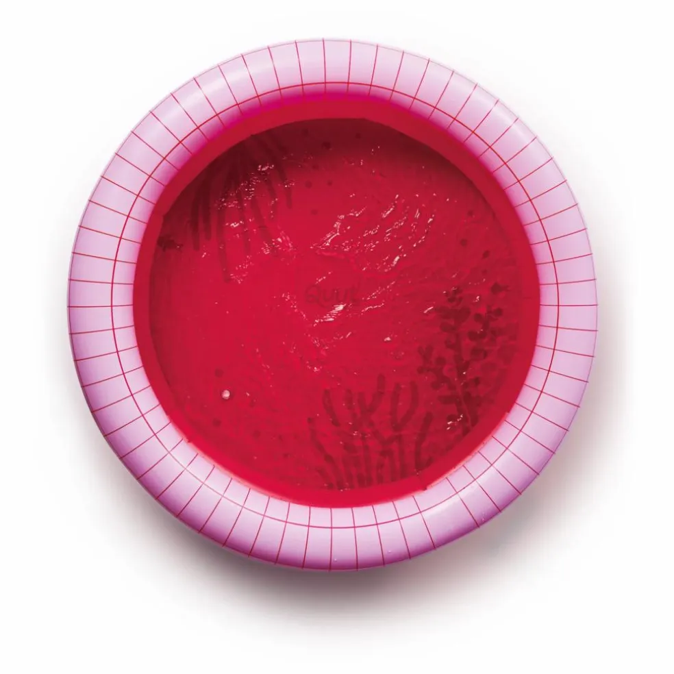 Piscine gonflable Cerise