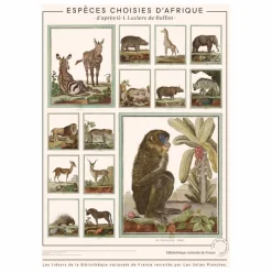 Planche Espèces choisies d'Afrique - Animaux de Buffons