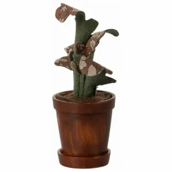 Plante dans son pot