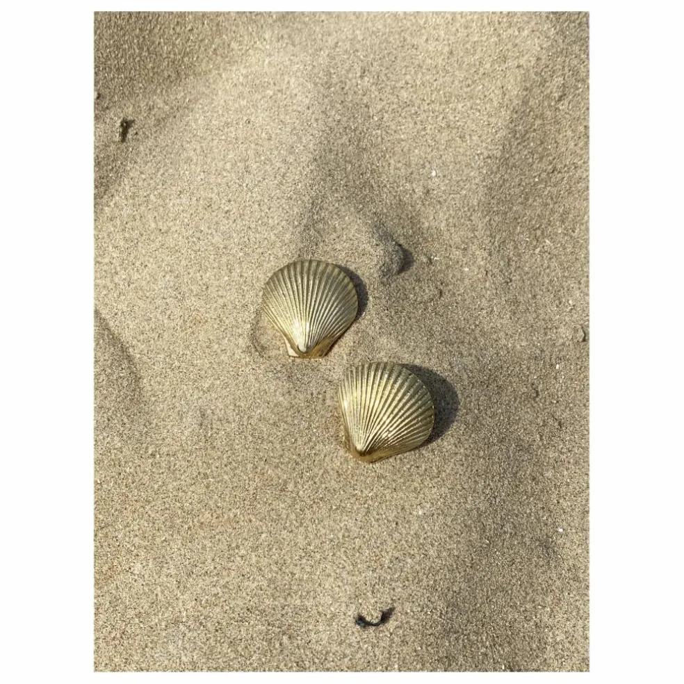 Poignée de porte en laiton Shell | Doré